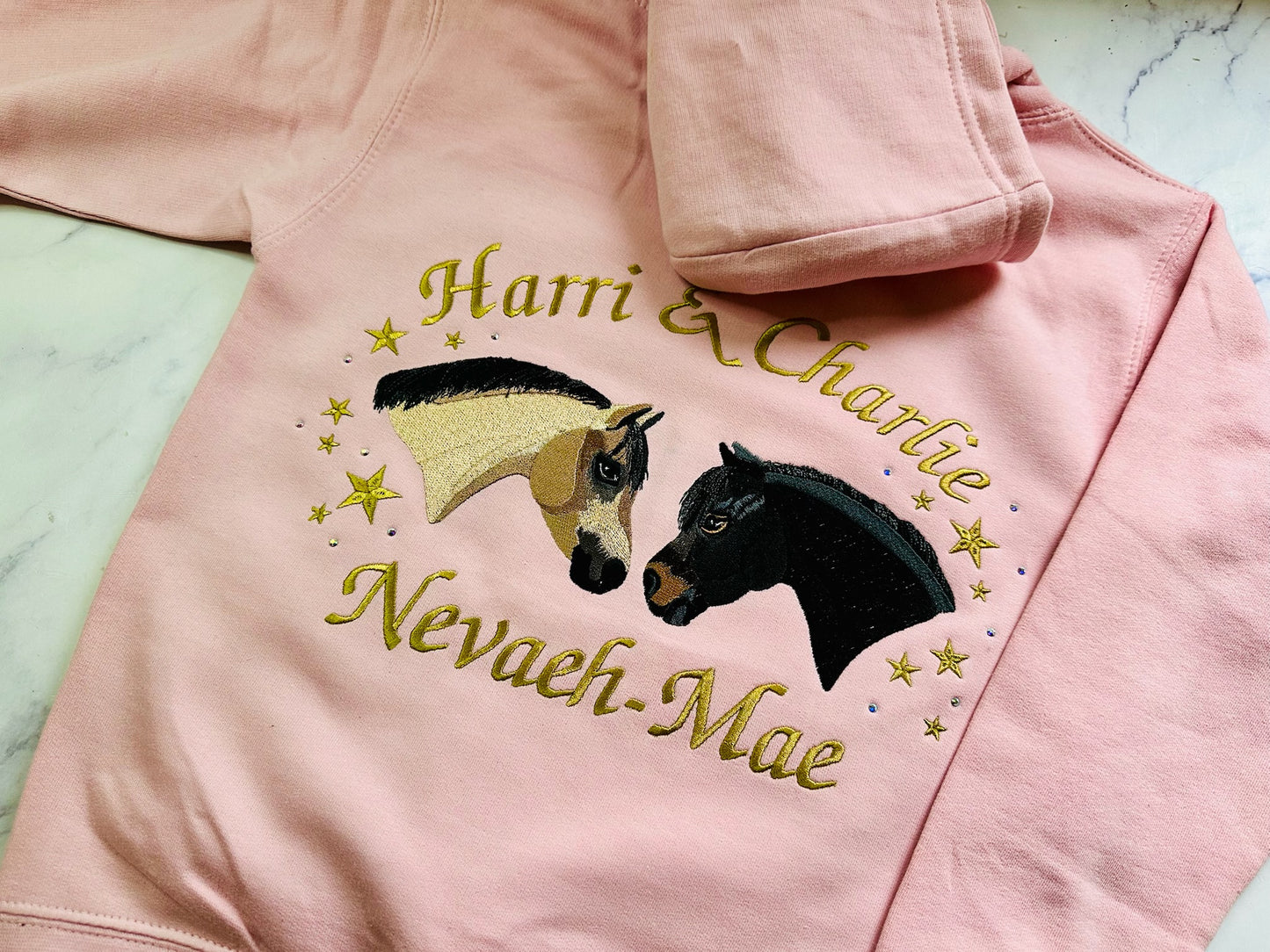 Hoodie - Bespoke Pet Embroidery - Children