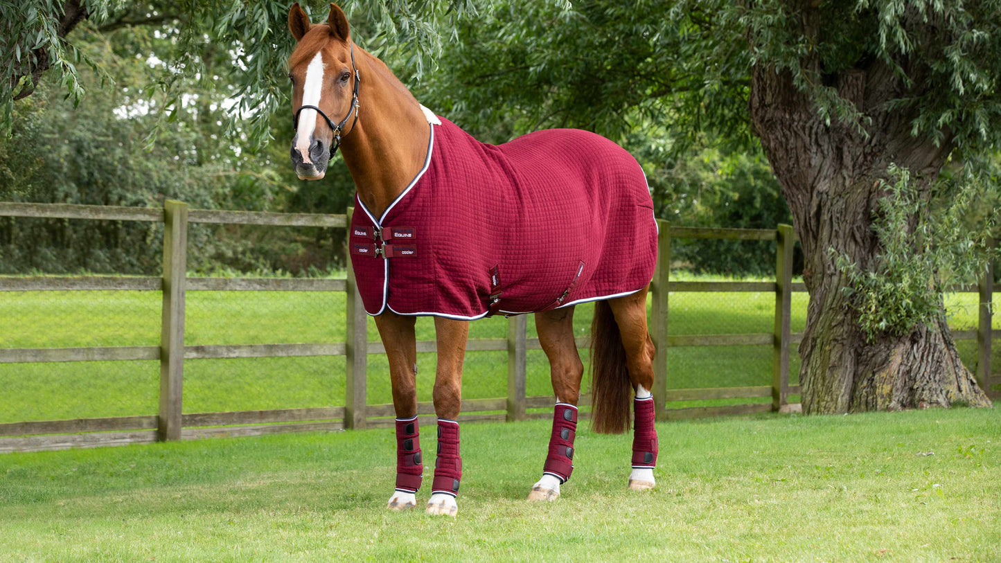 Premier Equine PremTex Cooler