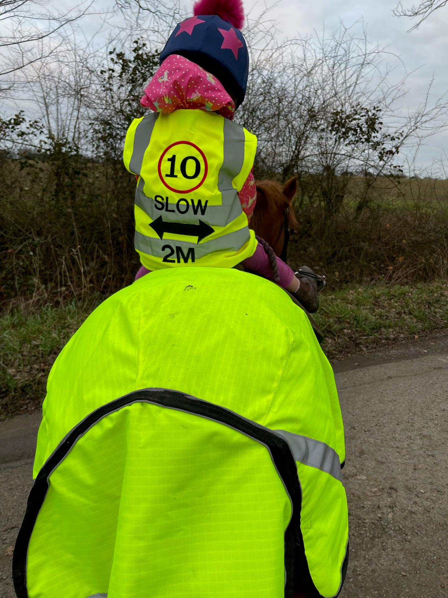 High Vis Riding Vest