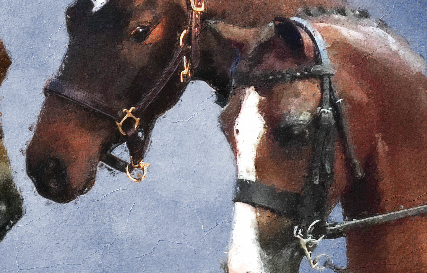 Pet Portrait - 'Oil on canvas' Style