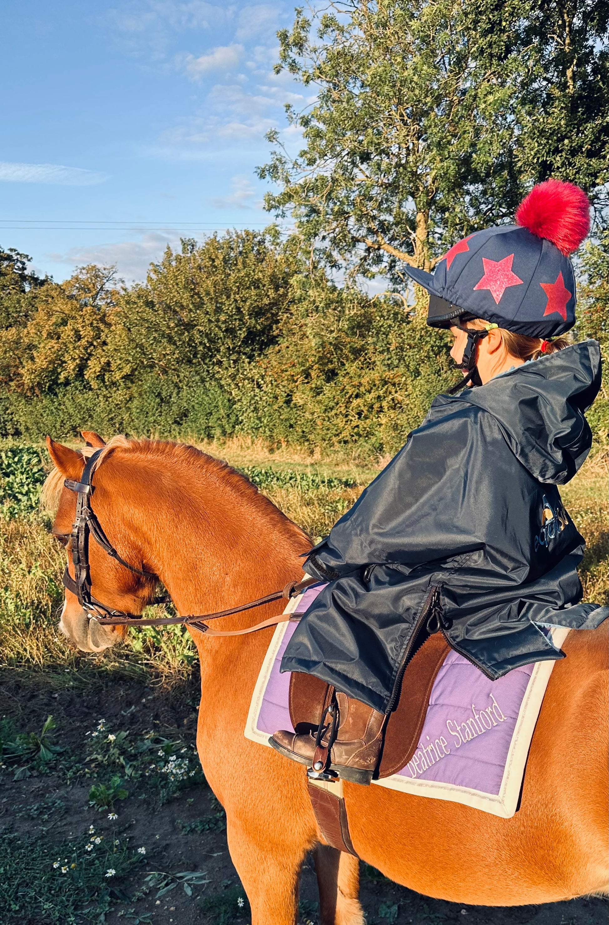 Supreme online horse jacket