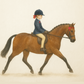 equiSupreme™ Baselayer - Show Pony
