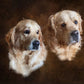 Pet Portrait - Digital 'oil on canvas'