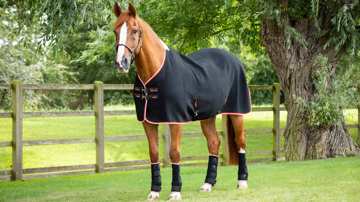 Premier Equine PremTex Cooler