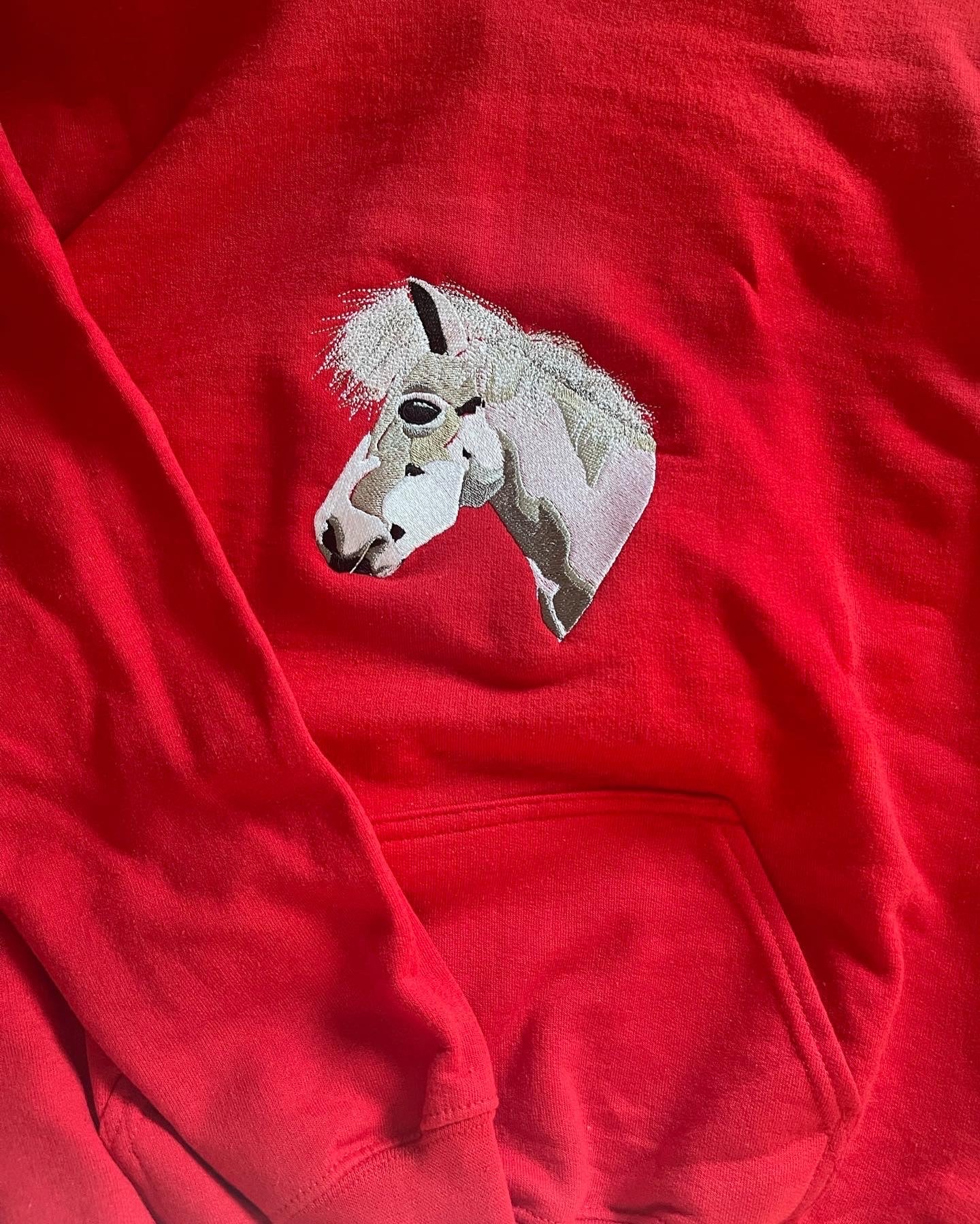 Hoodie - Bespoke Pet Embroidery - Children