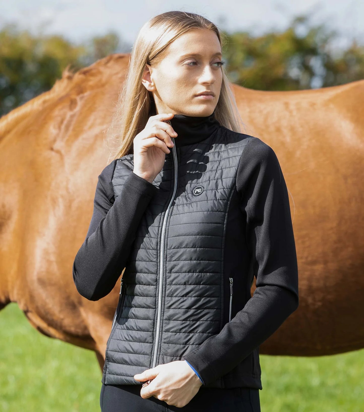 Equestrian on sale embroidered jackets